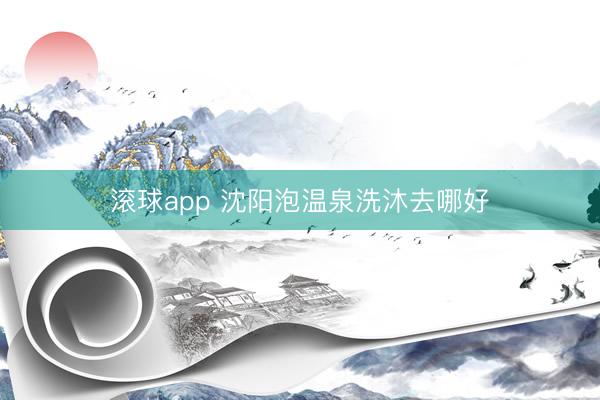 滚球app 沈阳泡温泉洗沐去哪好