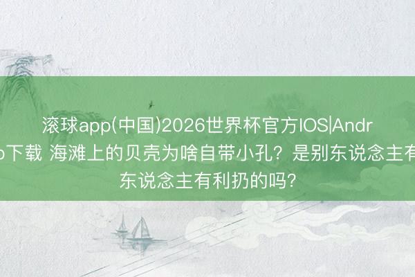 滚球app(中国)2026世界杯官方IOS|Android手机app下载 海滩上的贝壳为啥自带小孔？是别东说念主有利扔的吗？