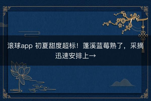 滚球app 初夏甜度超标！蓬溪蓝莓熟了，采摘迅速安排上→