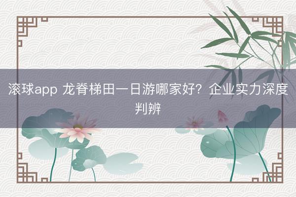 滚球app 龙脊梯田一日游哪家好？企业实力深度判辨