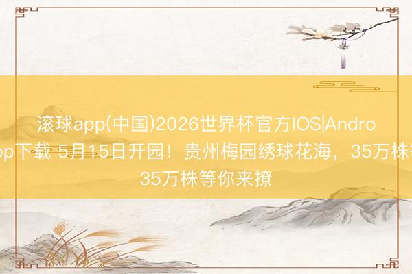 滚球app(中国)2026世界杯官方IOS|Android手机app下载 5月15日开园！贵州梅园绣球花海，35万株等你来撩