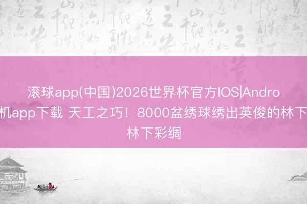 滚球app(中国)2026世界杯官方IOS|Android手机app下载 天工之巧！8000盆绣球绣出英俊的林下彩绸