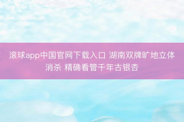 滚球app中国官网下载入口 湖南双牌旷地立体消杀 精确看管千年古银杏