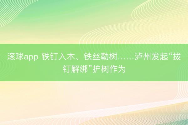 滚球app 铁钉入木、铁丝勒树……泸州发起“拔钉解绑”护树作为