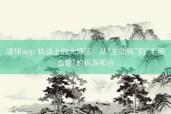 滚球app 轨谈上的大湾区：从“主动脉”到“毛细血管”的纵深和会