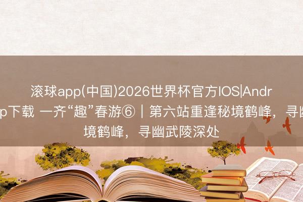 滚球app(中国)2026世界杯官方IOS|Android手机app下载 一齐“趣”春游⑥｜第六站重逢秘境鹤峰，寻幽武陵深处