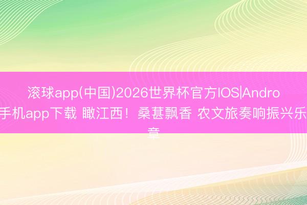 滚球app(中国)2026世界杯官方IOS|Android手机app下载 瞰江西！桑葚飘香 农文旅奏响振兴乐章