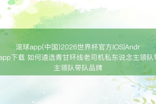 滚球app(中国)2026世界杯官方IOS|Android手机app下载 如何遴选青甘环线老司机私东说念主领队带队品牌