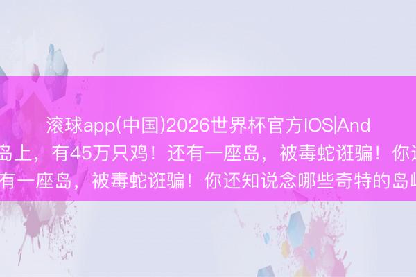 滚球app(中国)2026世界杯官方IOS|Android手机app下载 一座小岛上，有45万只鸡！还有一座岛，被毒蛇诳骗！你还知说念哪些奇特的岛屿？