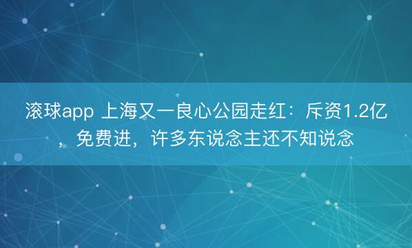 滚球app 上海又一良心公园走红：斥资1.2亿，免费进，许多东说念主还不知说念