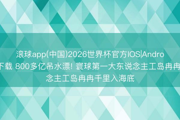 滚球app(中国)2026世界杯官方IOS|Android手机app下载 800多亿吊水漂! 寰球第一大东说念主工岛冉冉千里入海底