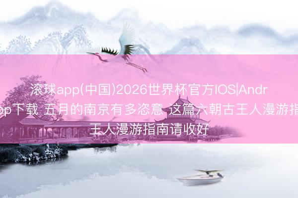 滚球app(中国)2026世界杯官方IOS|Android手机app下载 五月的南京有多恣意 这篇六朝古王人漫游指南请收好