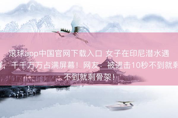 滚球app中国官网下载入口 女子在印尼潜水遇海狼群，千千万万占满屏幕！网友：被进击10秒不到就剩骨架！