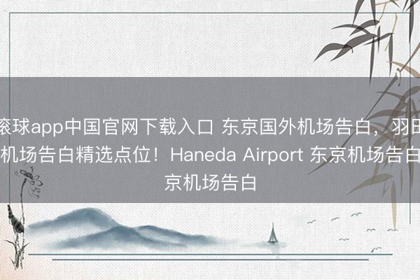 滚球app中国官网下载入口 东京国外机场告白，羽田机场告白精选点位！Haneda Airport 东京机场告白