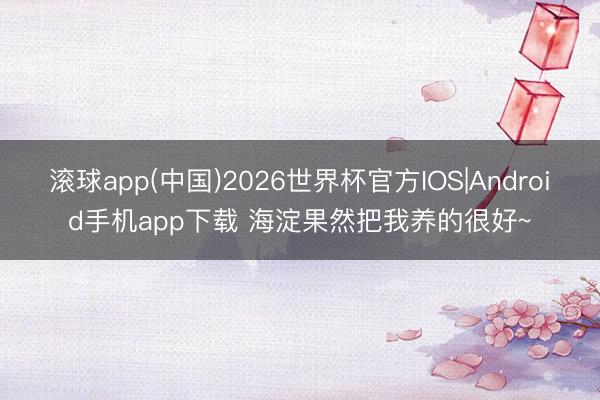 滚球app(中国)2026世界杯官方IOS|Android手机app下载 海淀果然把我养的很好~