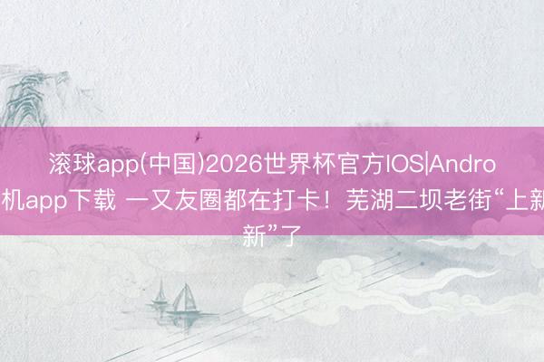 滚球app(中国)2026世界杯官方IOS|Android手机app下载 一又友圈都在打卡！芜湖二坝老街“上新”了