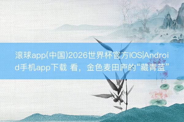 滚球app(中国)2026世界杯官方IOS|Android手机app下载 看，金色麦田庐的“藏青蓝”