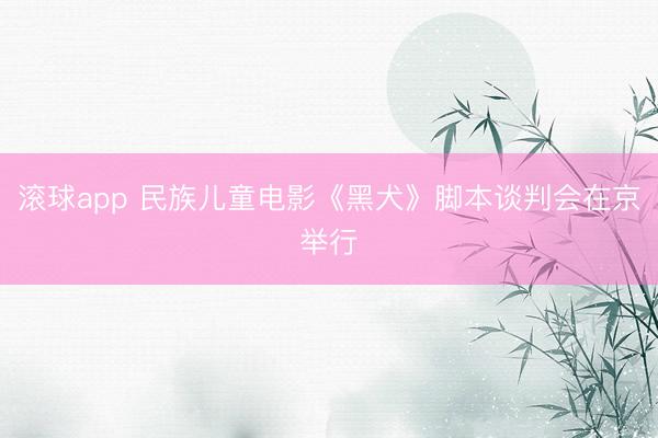 滚球app 民族儿童电影《黑犬》脚本谈判会在京举行