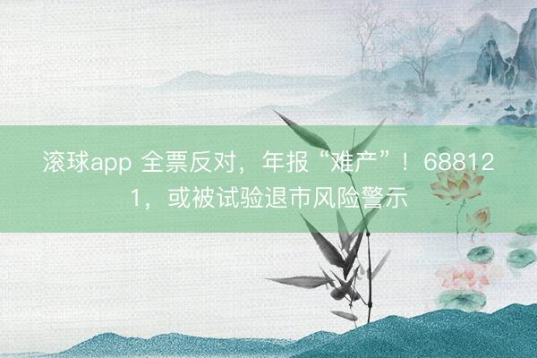 滚球app 全票反对，年报 “难产” ！688121，或被试验退市风险警示