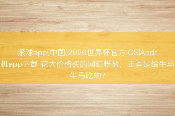 滚球app(中国)2026世界杯官方IOS|Android手机app下载 花大价格买的网红粉盐，正本是给牛马吃的？
