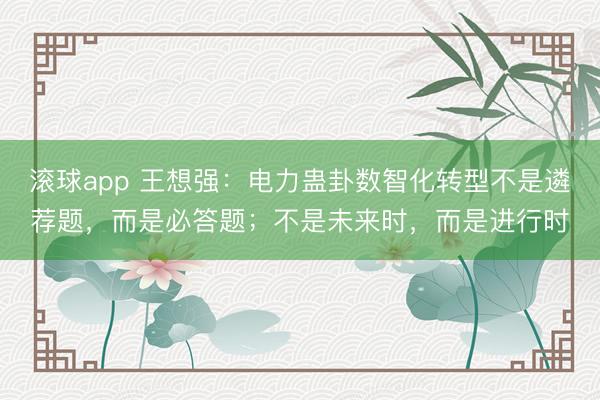 滚球app 王想强：电力蛊卦数智化转型不是遴荐题，而是必答题；不是未来时，而是进行时