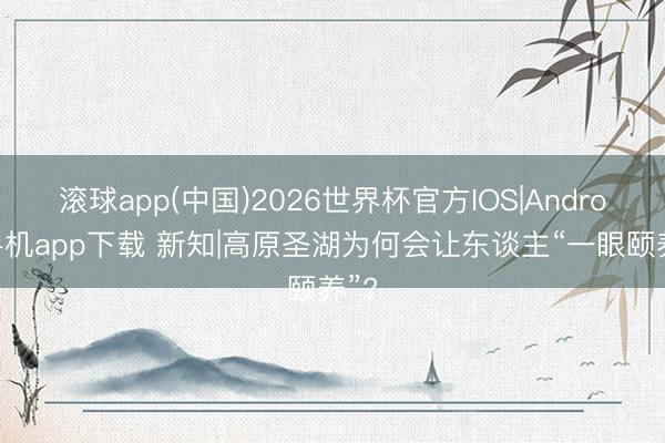滚球app(中国)2026世界杯官方IOS|Android手机app下载 新知|高原圣湖为何会让东谈主“一眼颐养”?