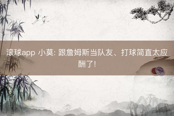 滚球app 小莫: 跟詹姆斯当队友、打球简直太应酬了!