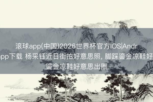 滚球app(中国)2026世界杯官方IOS|Android手机app下载 杨采钰近日街拍好意思照， 脚踩鎏金凉鞋好意思出圈
