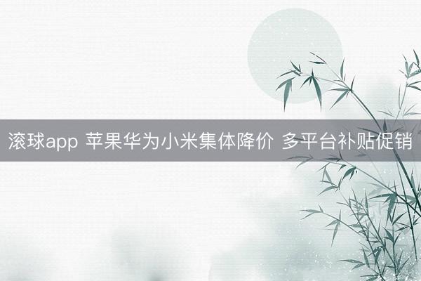 滚球app 苹果华为小米集体降价 多平台补贴促销
