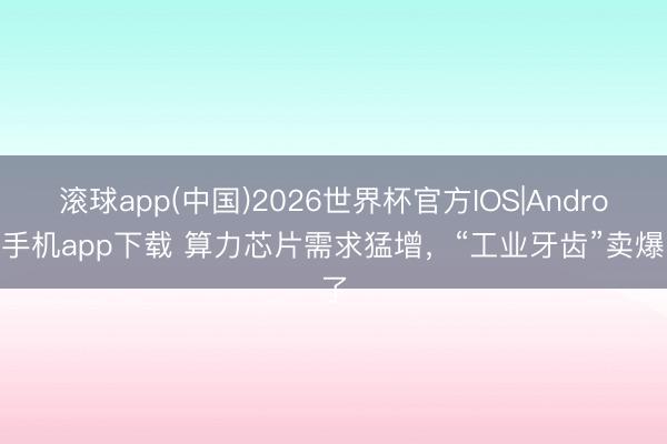 滚球app(中国)2026世界杯官方IOS|Android手机app下载 算力芯片需求猛增，“工业牙齿”卖爆了