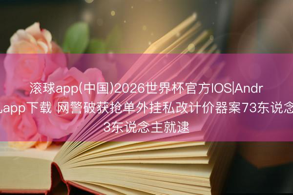 滚球app(中国)2026世界杯官方IOS|Android手机app下载 网警破获抢单外挂私改计价器案73东说念主就逮
