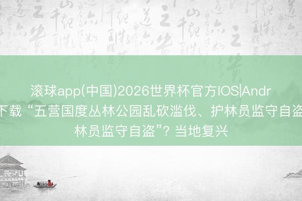 滚球app(中国)2026世界杯官方IOS|Android手机app下载 “五营国度丛林公园乱砍滥伐、护林员监守自盗”? 当地复兴