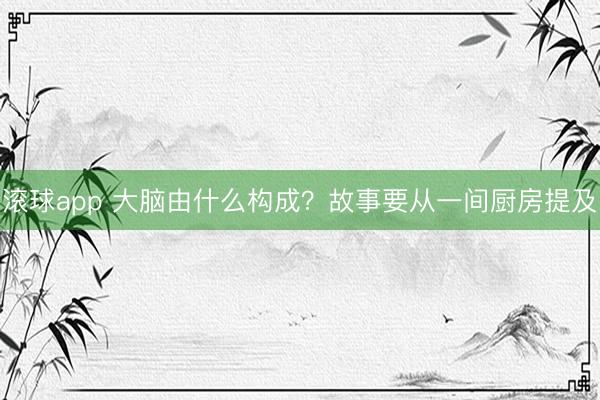 滚球app 大脑由什么构成？故事要从一间厨房提及