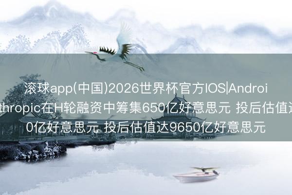 滚球app(中国)2026世界杯官方IOS|Android手机app下载 Anthropic在H轮融资中筹集650亿好意思元 投后估值达9650亿好意思元