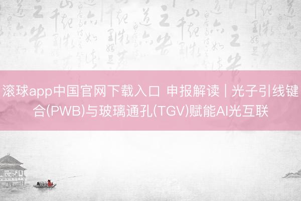 滚球app中国官网下载入口 申报解读 | 光子引
