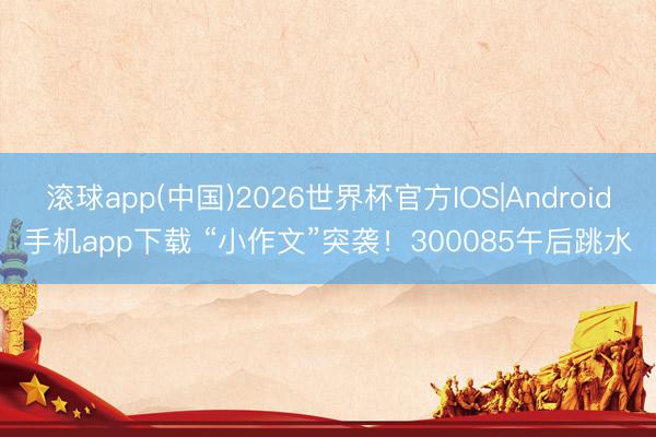 滚球app(中国)2026世界杯官方IOS|Android手机app下载 “小作文”突袭！300085午后跳水