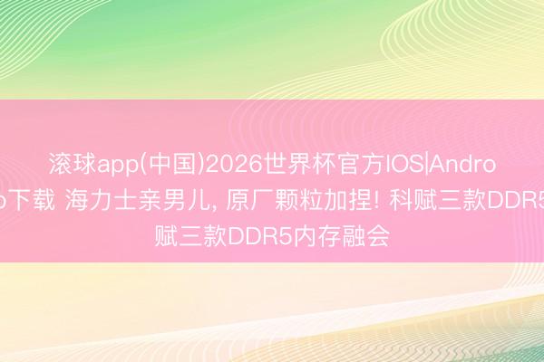 滚球app(中国)2026世界杯官方IOS|Android手机app下载 海力士亲男儿， 原厂颗粒加捏! 科赋三款DDR5内存融会