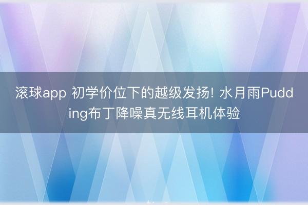 滚球app 初学价位下的越级发扬! 水月雨Pudding布丁降噪真无线耳机体验