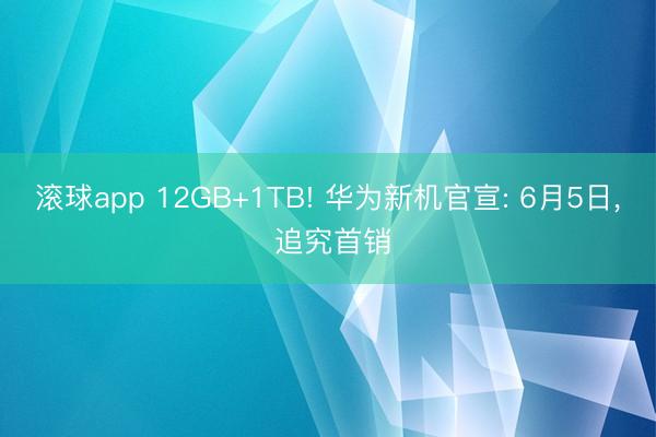 滚球app 12GB+1TB! 华为新机官宣: 6月5日， 追究首销