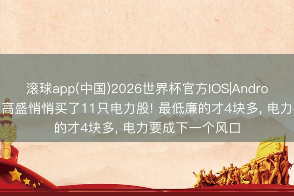 滚球app(中国)2026世界杯官方IOS|Android手机app下载 高盛悄悄买了11只电力股! 最低廉的才4块多， 电力要成下一个风口