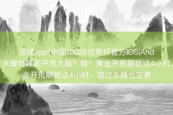 滚球app(中国)2026世界杯官方IOS|Android手机app下载 大睡特睡能开荒大脑？错！黄金开荒期就这4小时，错过多睡也空费
