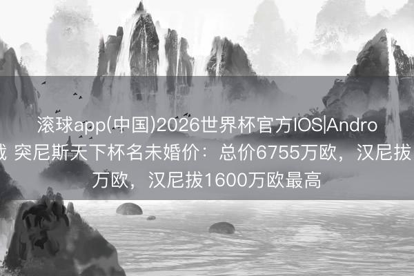 滚球app(中国)2026世界杯官方IOS|Android手机app下载 突尼斯天下杯名未婚价：总价6755万欧，汉尼拔1600万欧最高
