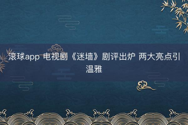 滚球app 电视剧《迷墙》剧评出炉 两大亮点引温雅