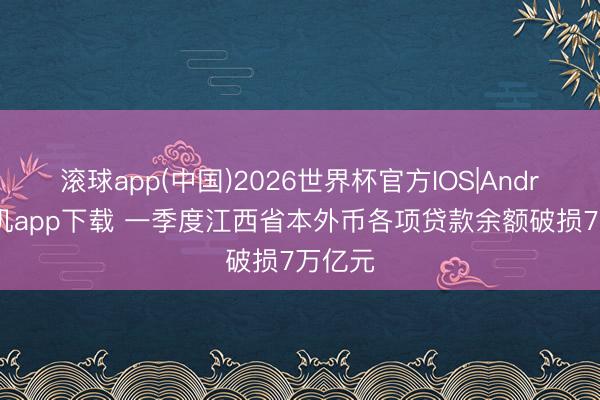 滚球app(中国)2026世界杯官方IOS|Android手机app下载 一季度江西省本外币各项贷款余额破损7万亿元