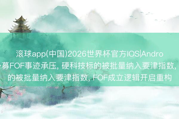 滚球app(中国)2026世界杯官方IOS|Android手机app下载 上周公募FOF事迹承压， 硬科技标的被批量纳入要津指数， FOF成立逻辑开启重构