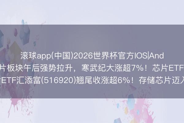 滚球app(中国)2026世界杯官方IOS|Android手机app下载 芯片板块午后强势拉升,寒武纪大涨超7%!芯片ETF汇添富(516920)翘尾收涨超6%!存储芯片迈入永恒供不应求周期