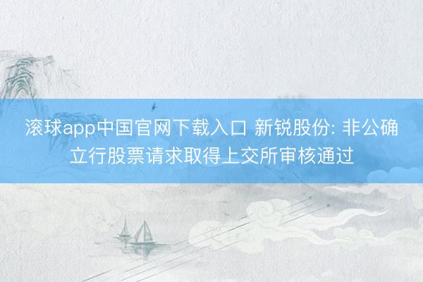 滚球app中国官网下载入口 新锐股份: 非公确立行股票请求取得上交所审核通过