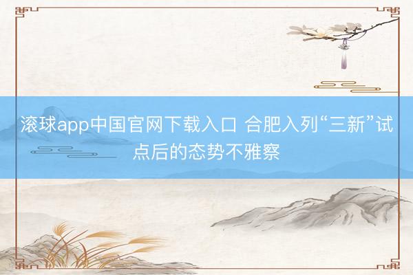 滚球app中国官网下载入口 合肥入列“三新”试点后的态势不雅察