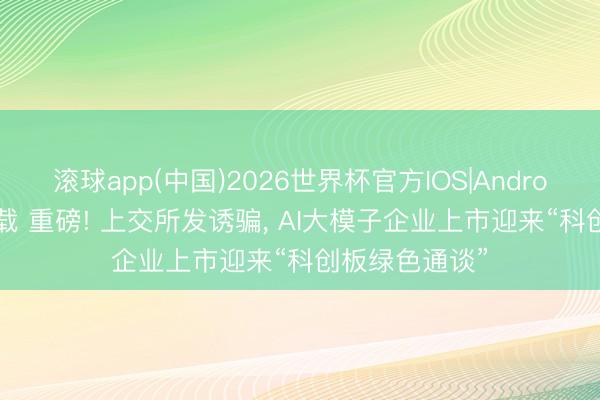 滚球app(中国)2026世界杯官方IOS|Android手机app下载 重磅! 上交所发诱骗， AI大模子企业上市迎来“科创板绿色通谈”