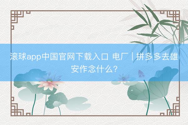 滚球app中国官网下载入口 电厂 | 拼多多去雄安作念什么?